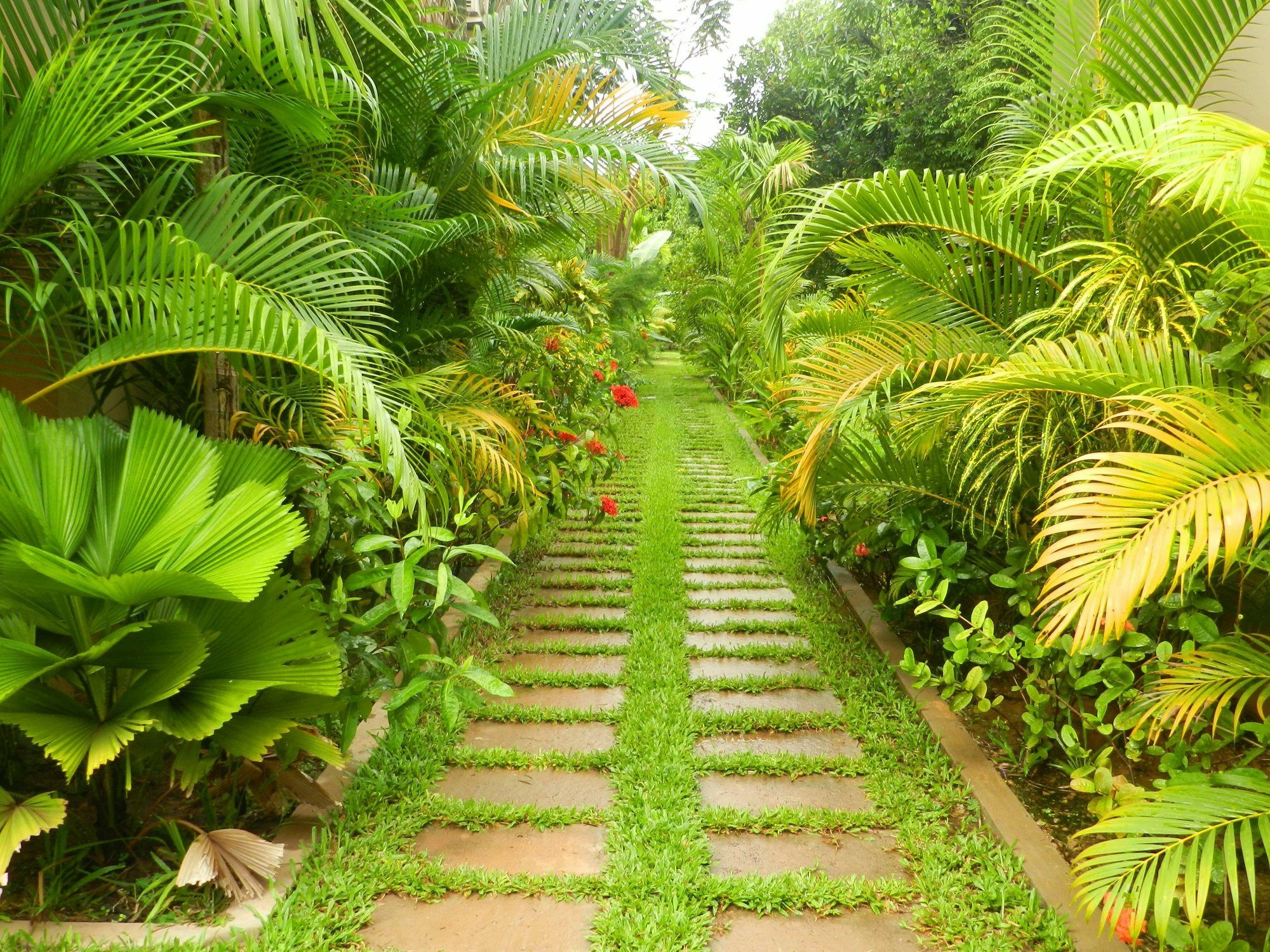 Villa Nissa Siem Reap Exteriér fotografie
